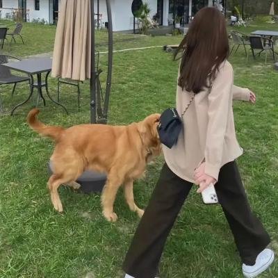 归来的她